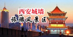 大黑鸡巴操大骚逼中国陕西-西安城墙旅游风景区